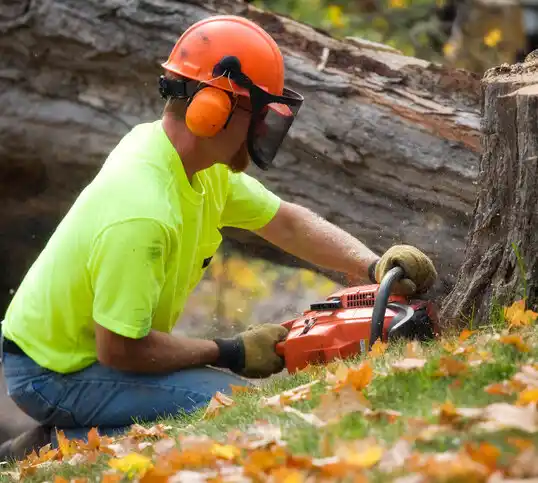 tree services Crompond